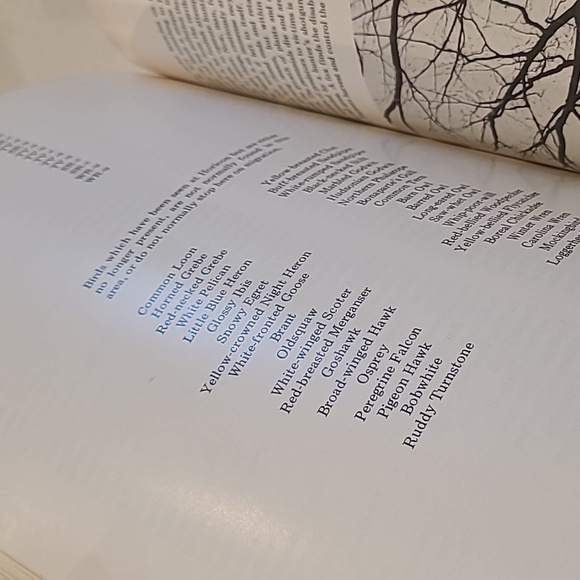 Wild Goose Marsh Horicon Stopover by Robert E Gard photo by Edgar G Mueller - Picture 10 of 12